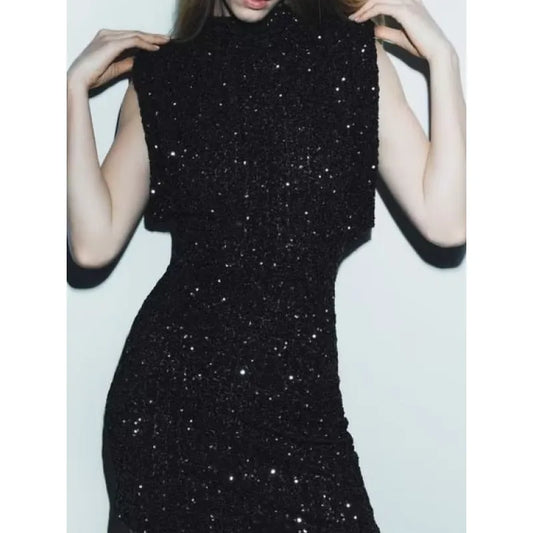 Sparkling Sequin Slim Fit Mini Dress