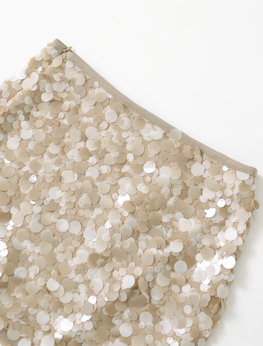 Sequin High Waist A-Line Party Skirt
